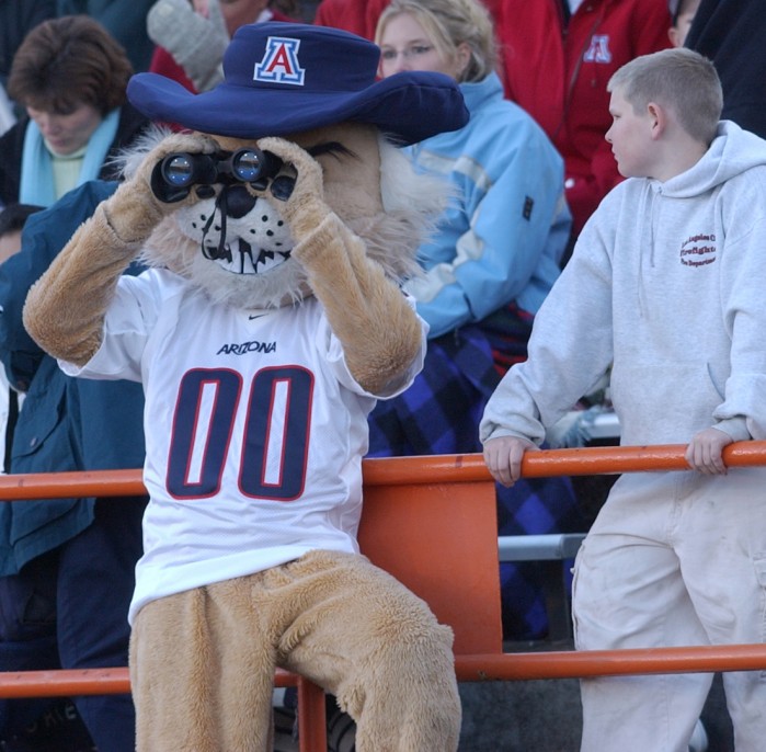 Wilbur and Wilma Wildcat through the years
